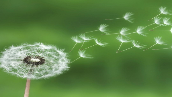 もう悩まない！介護職の転職で失敗しないための給料・待遇・働き方の見極め方